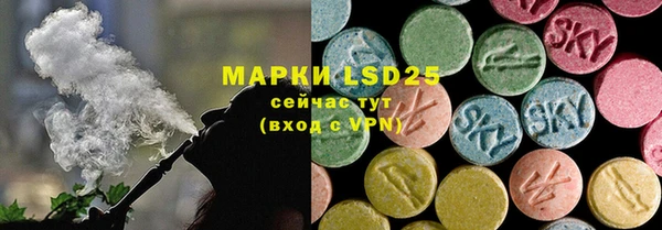 spice Пересвет