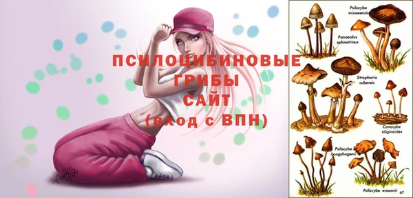 MDMA Premium VHQ Переславль-Залесский