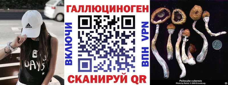 ссылка на мегу как войти  Рошаль  Галлюциногенные грибы ЛСД 